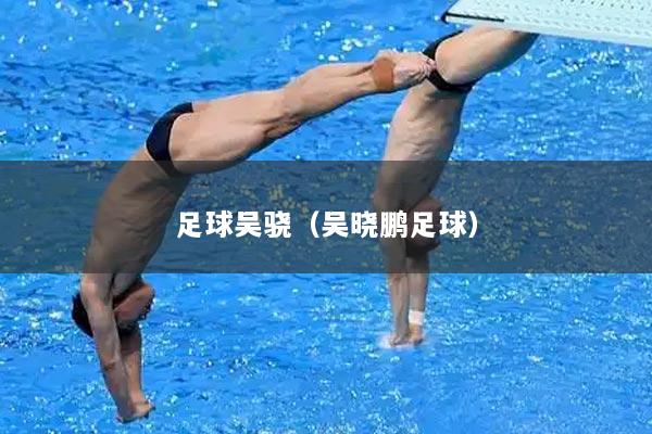 足球吴骁（吴晓鹏足球）