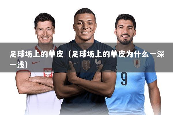 足球场上的草皮（足球场上的草皮为什么一深一浅）