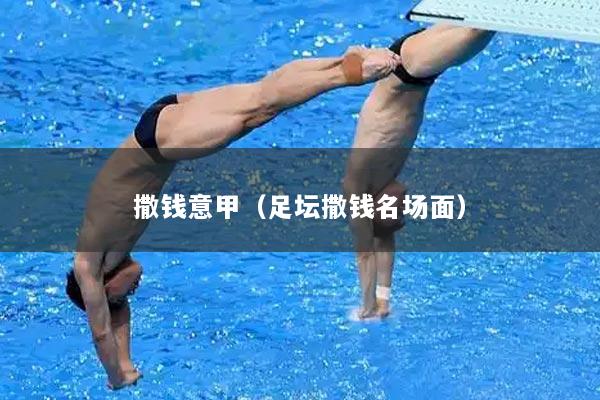 撒钱意甲（足坛撒钱名场面）