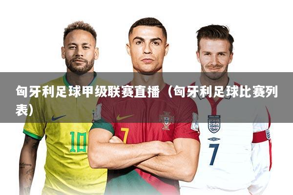 匈牙利足球甲级联赛直播（匈牙利足球比赛列表）