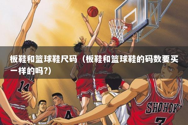 板鞋和篮球鞋尺码（板鞋和篮球鞋的码数要买一样的吗?）
